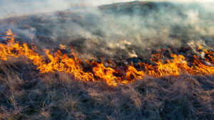 Fixes for California Utility Fires Are Few, Slow and Expensive