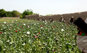 The Three Exports from Afghanistan That Are Coming: Heroin, People and Terrorism