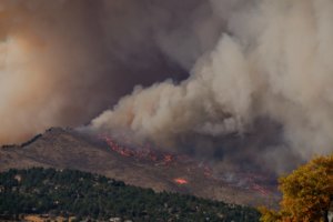 Fighting Wildfire With Fire, Lessons From Georgia and Florida