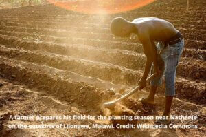 Foreign Aid That Works — the Malawi Story
